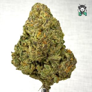 The Purps - 50C2