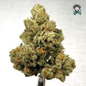OG Kush - 96M9