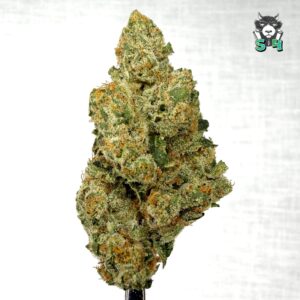 Lemon Fuel - 81M9