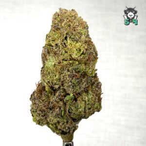 Pink Cherries - 59R1