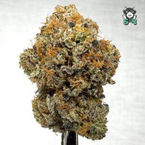 Dosi - 14C33