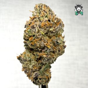 Peach Cobbler Runtz - 51R28