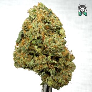 King Louis - 26D6