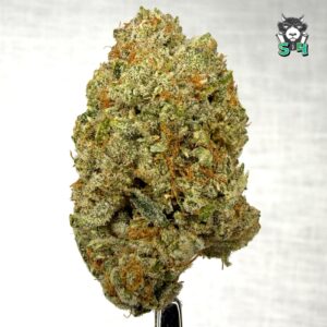 Super Jack - 48B17