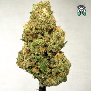Blue Dream - 91M15