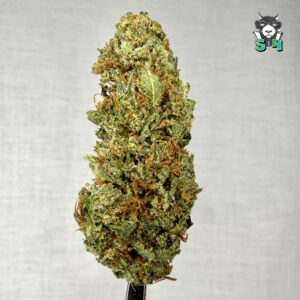 Jack Herer - 88M15