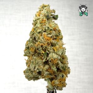 Marmalade - 67I8