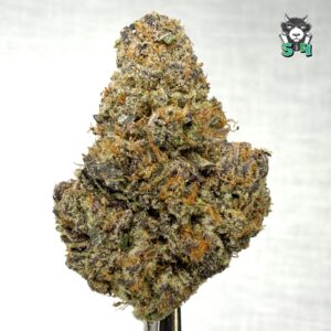 Delish - 49I8