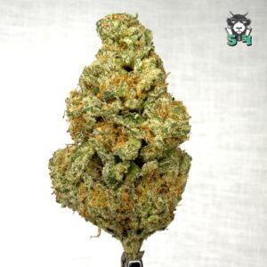 Sensi Star - 93B17