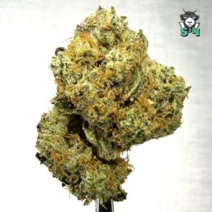Sour Animal Cookies - 42C14