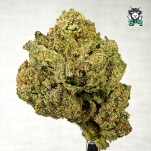 Candy Runtz - 22J23