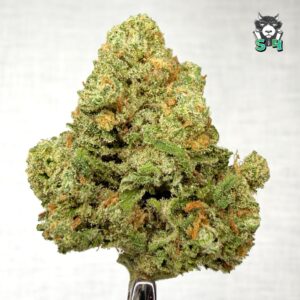 Blue Dream - 14T5
