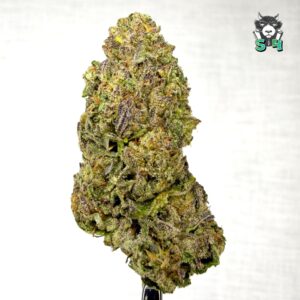 Bacio - 98L4