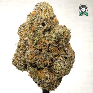 Ghost Runtz - 61H55