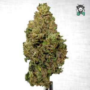 Dat Flavor - 51L4