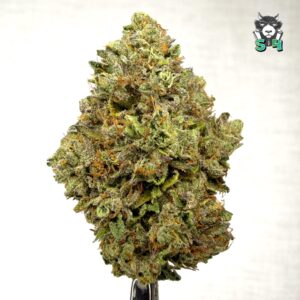 Double Cake - 11L4