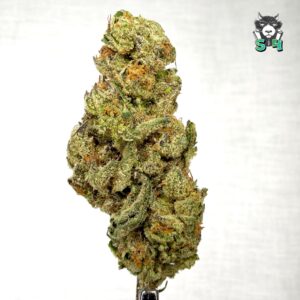 Carmel Candies - 51L4