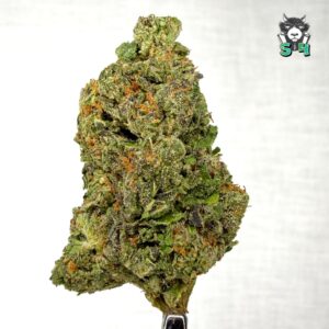 Gas Heads - 74L4