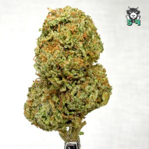 Candy Gas - 38J9