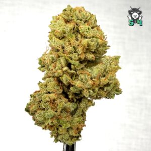 Cotton Candy - 49T4