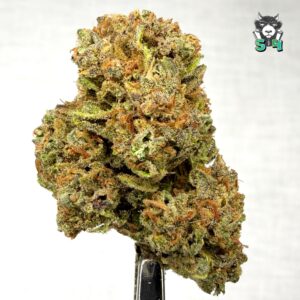 Fatso OG - 88T4