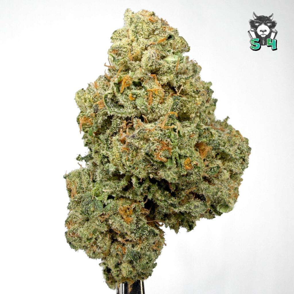 KushMints - 23J2