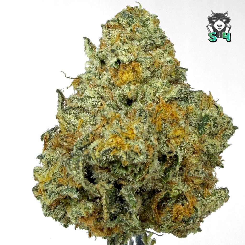 Marmalade - 70I8