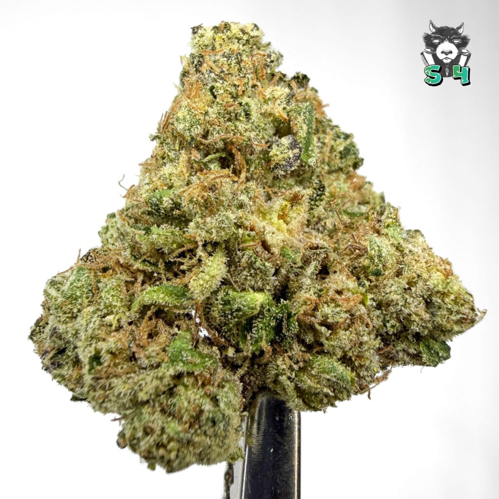 UK Cheese - 87B17