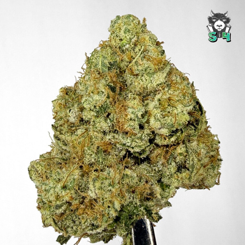 Sour Animals Cookies Red - 73C14