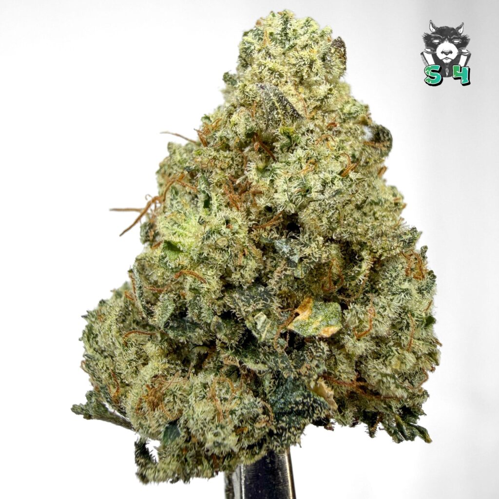 Gorilla Glue - 73R3