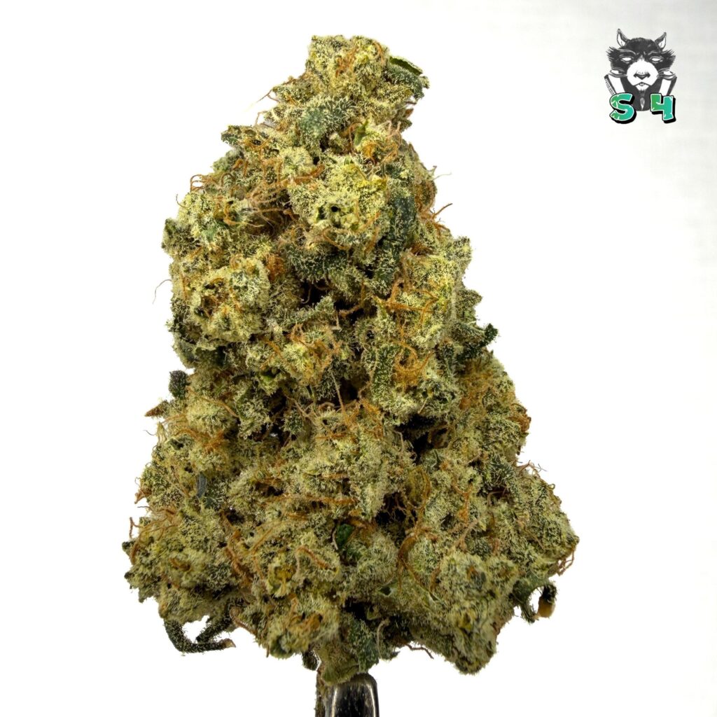 Dulce De Fresca - 32R3