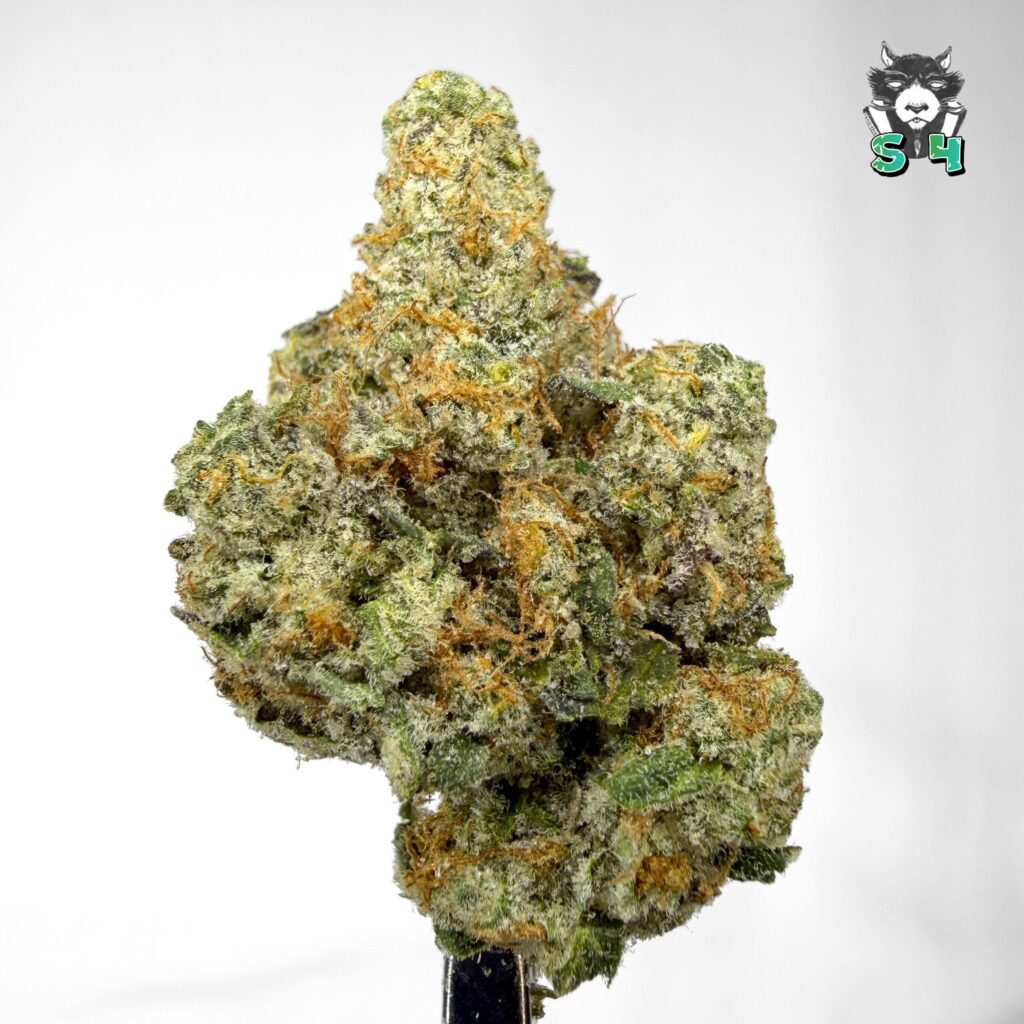 Wedding Cake Sherb - 86G33