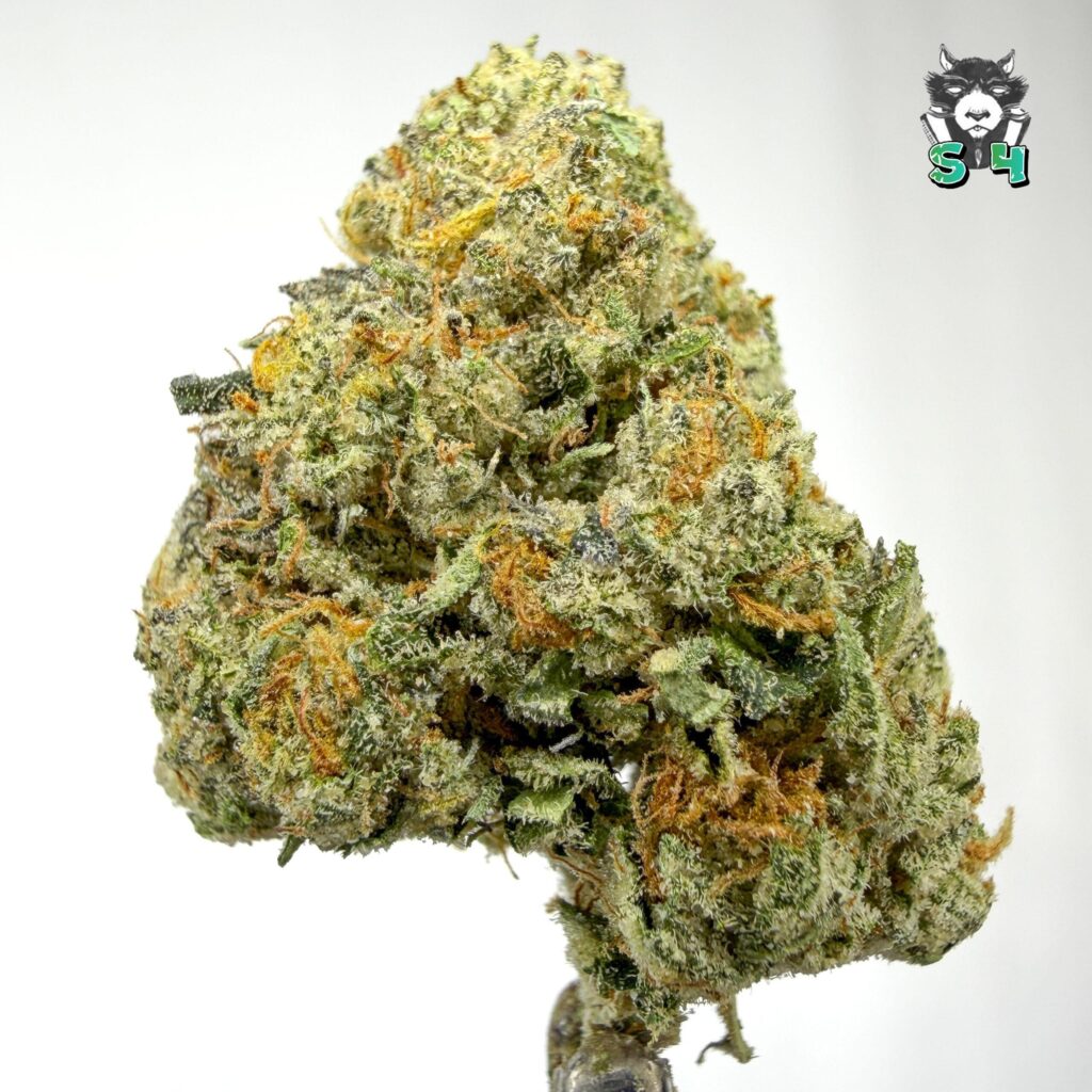 Lcg Kush - 21G33