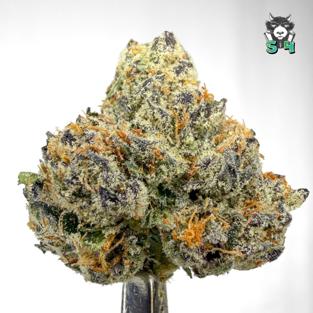 LCG OG Mint - 11G33
