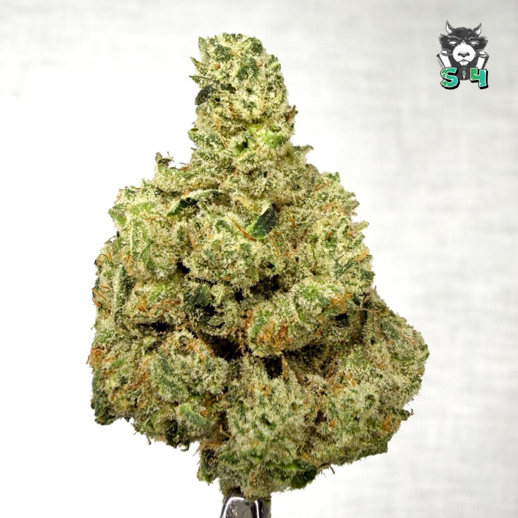 Walter White - 83A4
