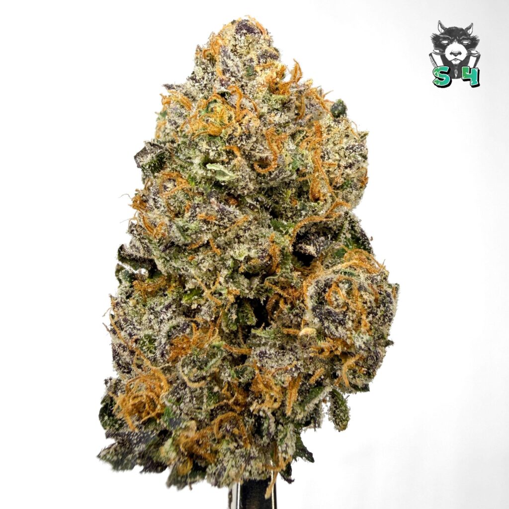 Tripple Cherries - 28S23