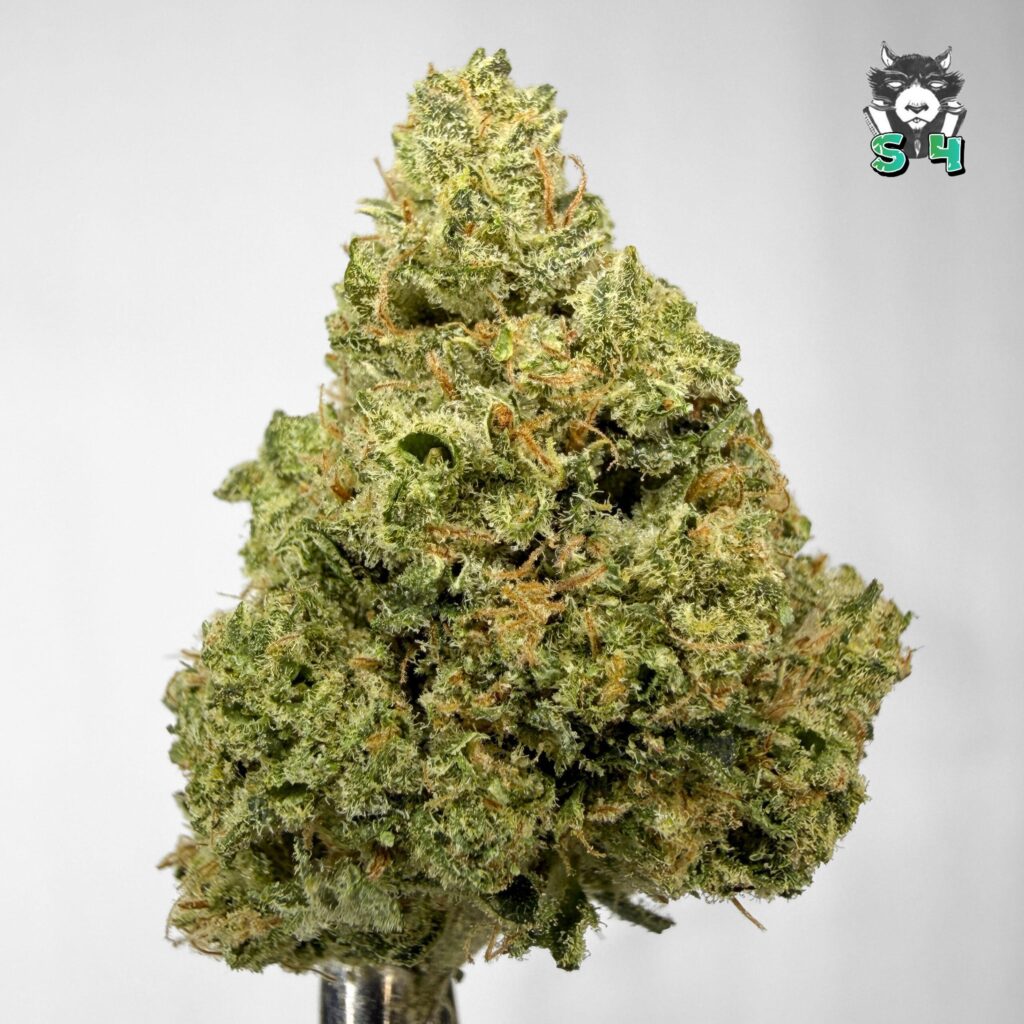 Sour Toad Venom - 95D7