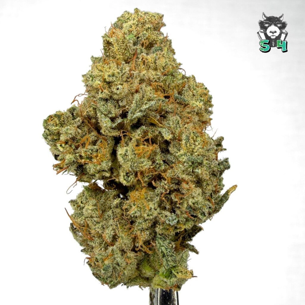 Gorilla Glue - 48R3