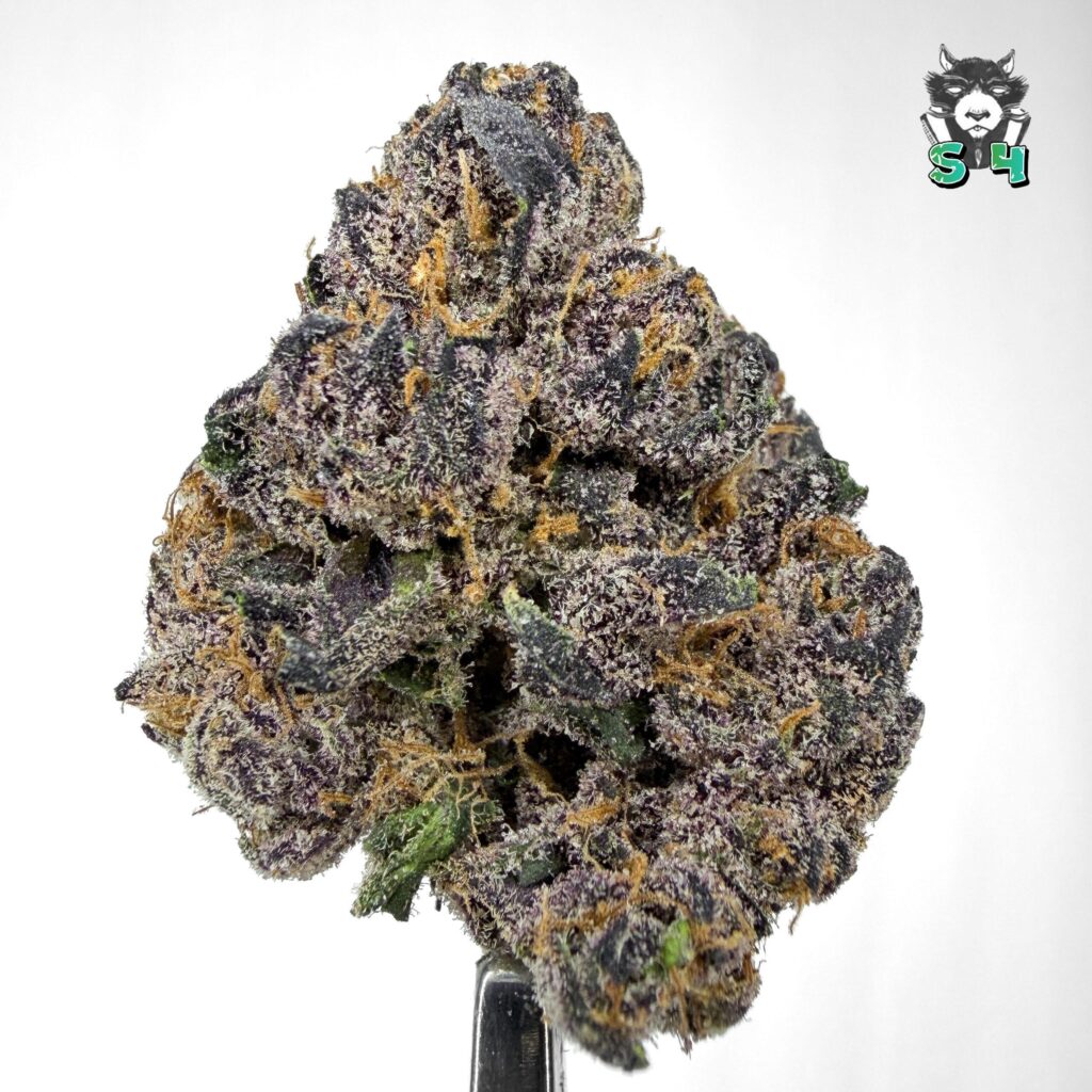 G33 Candy - 42M18