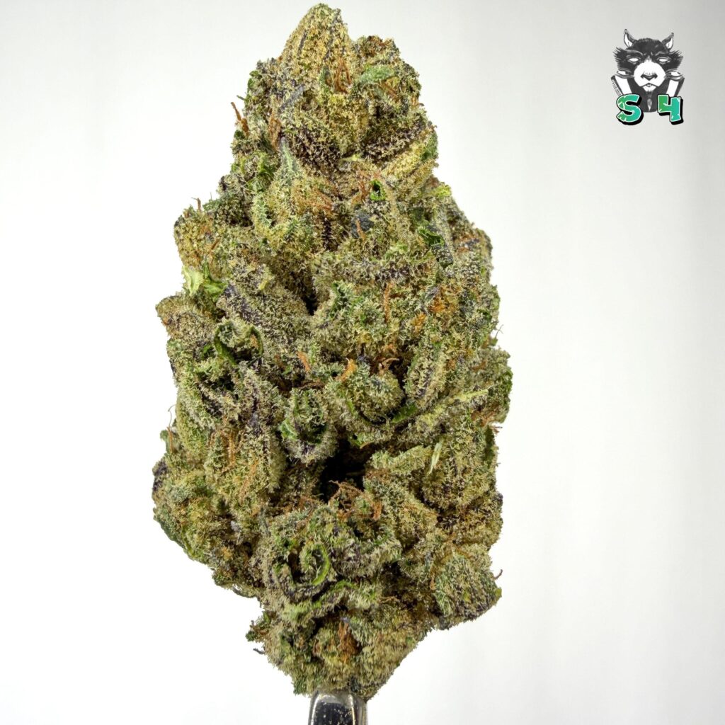 Runtz - 23G11