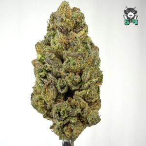 Runtz - 23G11