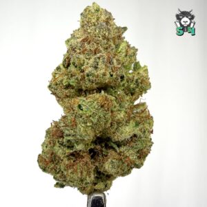 Orange Ades - 84O2