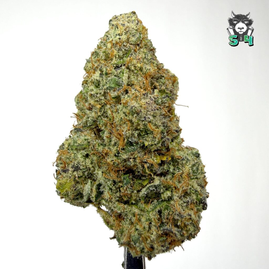 Sour Runtz - 39D22