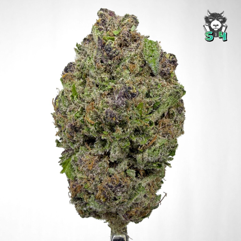 Super Boof - 47C4
