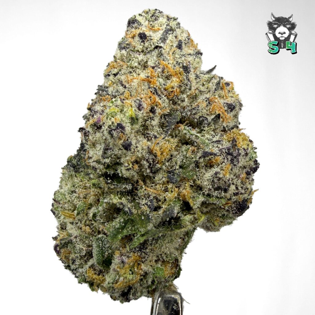 Pixie Stix X Wedding Pie - 11B17