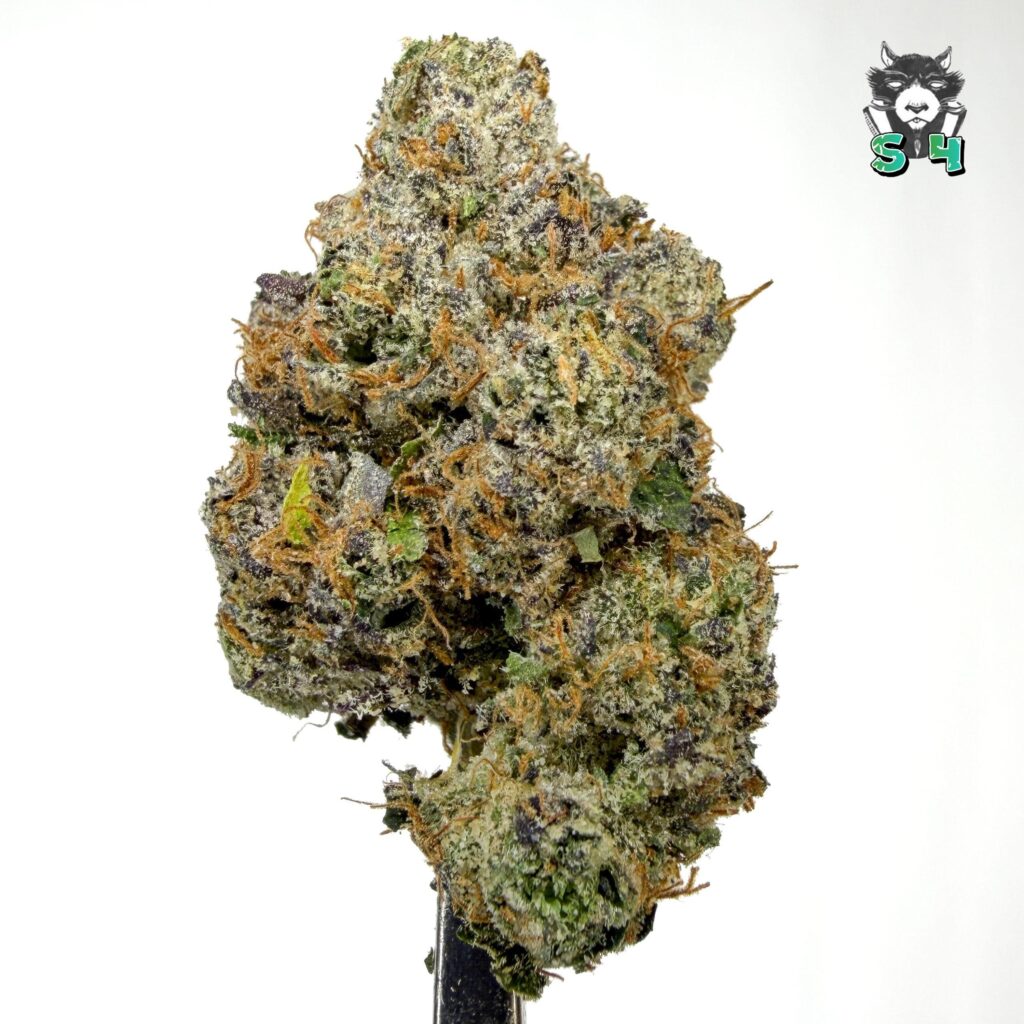 Black Diamond Runtz - 95D22