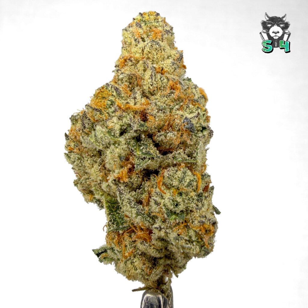 Dosi - 92C33