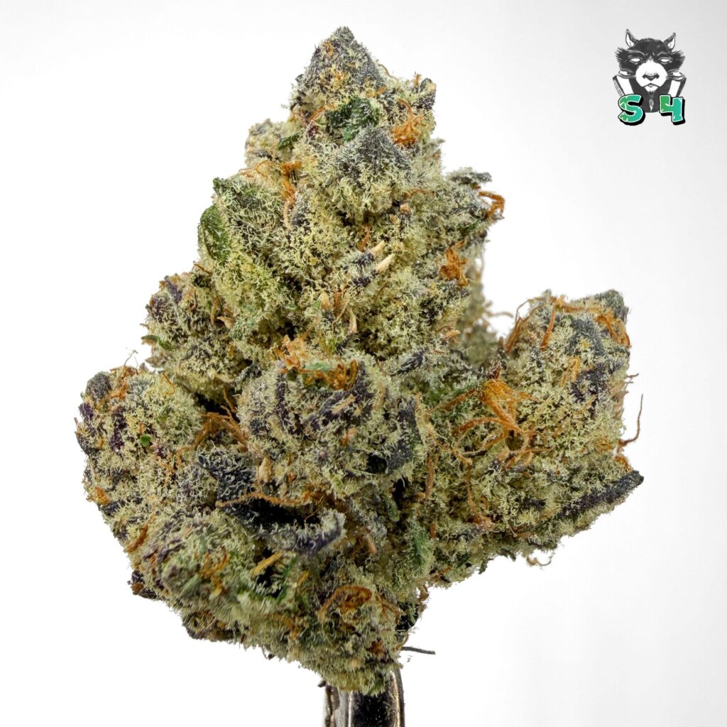 Sour Runtz - 94M17