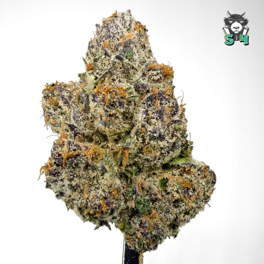 Guava Cherry Candy - 62A7