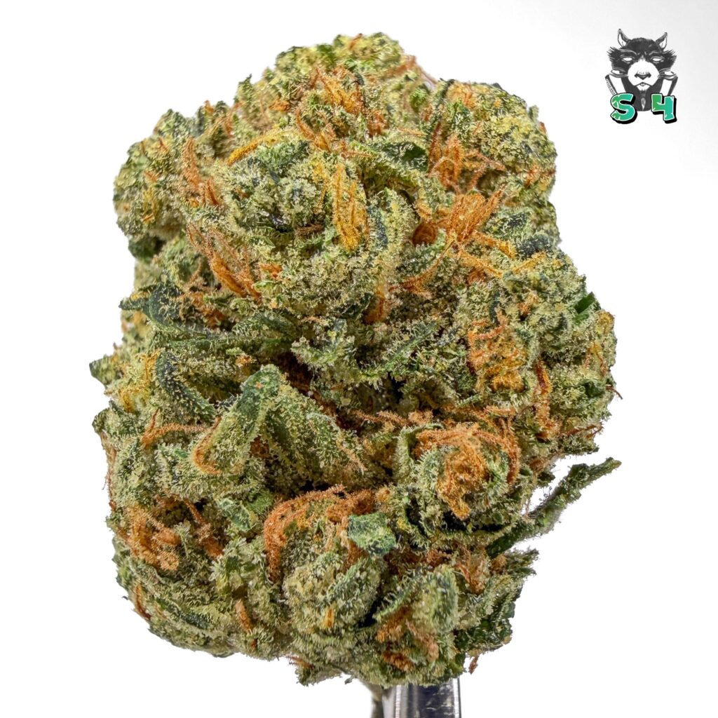 Chem Jones - 27C2